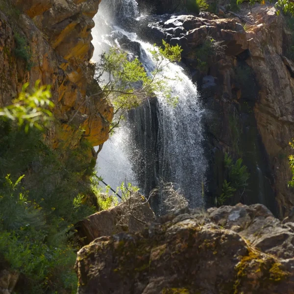 grampians one day tour