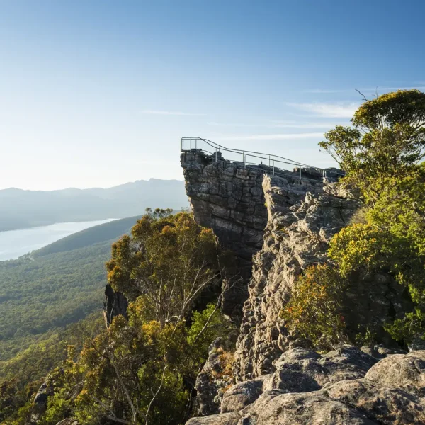 grampians tours