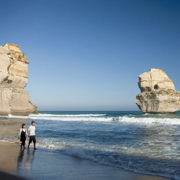 great ocean road day trips