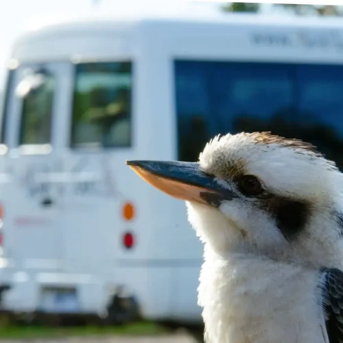 great ocean road drive itinerary