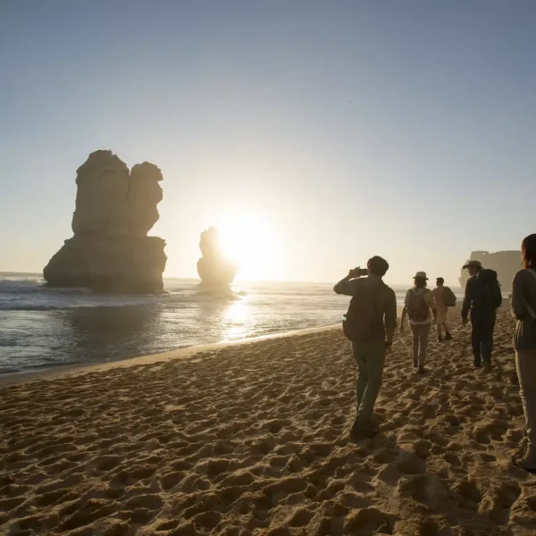 great ocean road tours melbourne