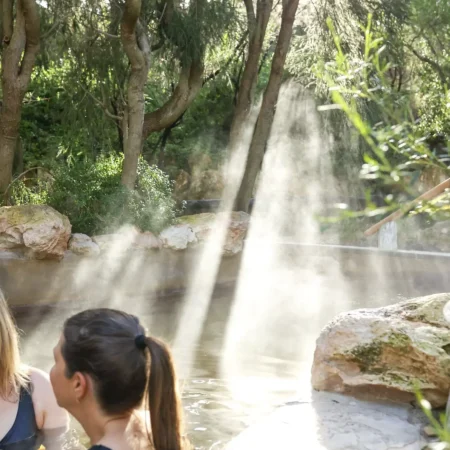 hot spring tours