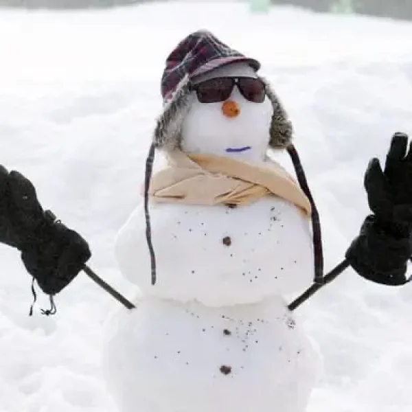melbourne snow day trips