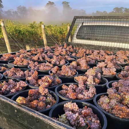 melbourne wine tour