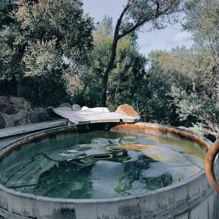 mornington peninsula hot springs day tour
