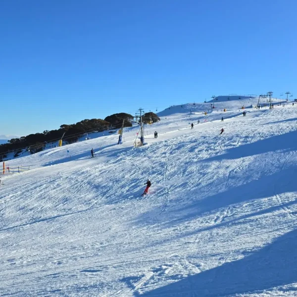 mount buller day tour