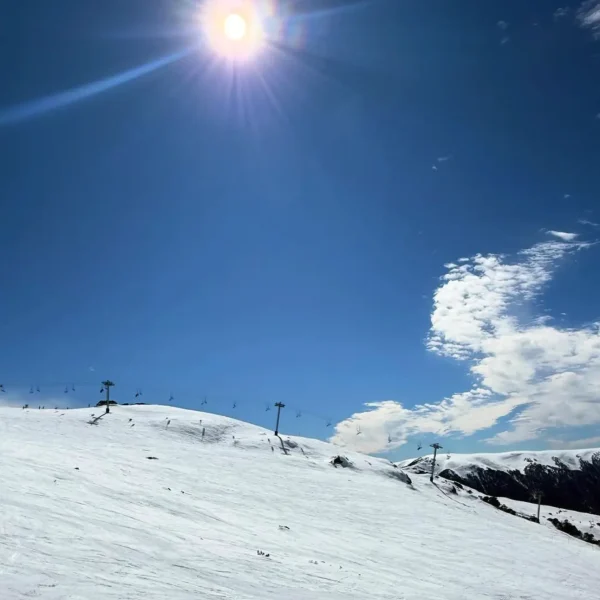 mount buller day trip from melbourne