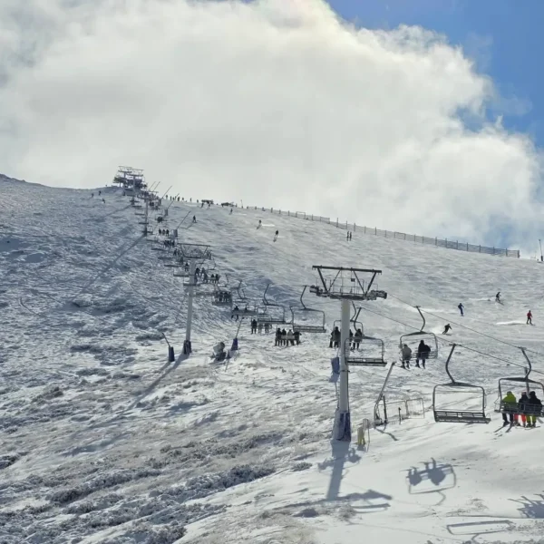 mount buller day trip