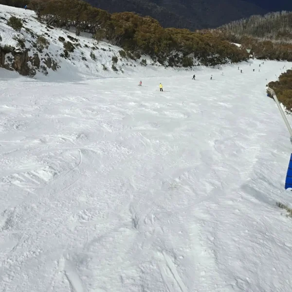 mount buller snow tour