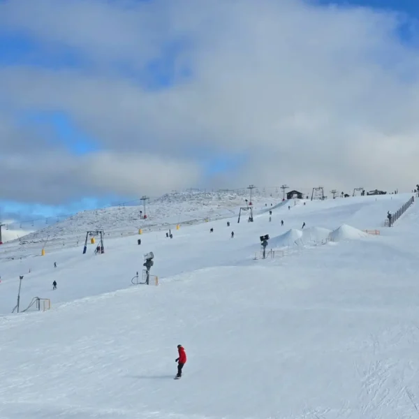 mount buller tour from melbourne