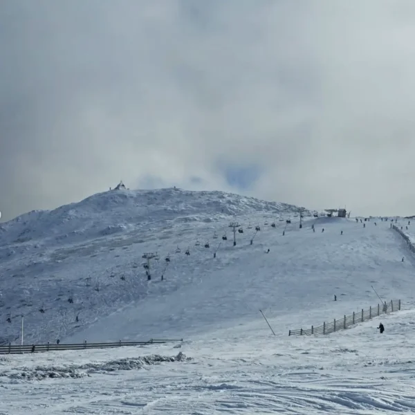 mount buller tour