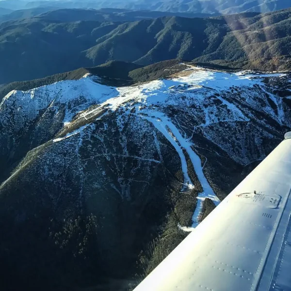 mount buller trip from melbourne