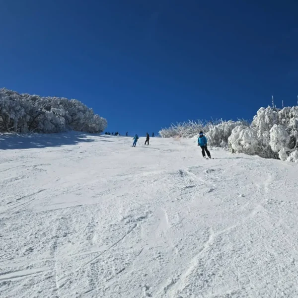 mount buller trip