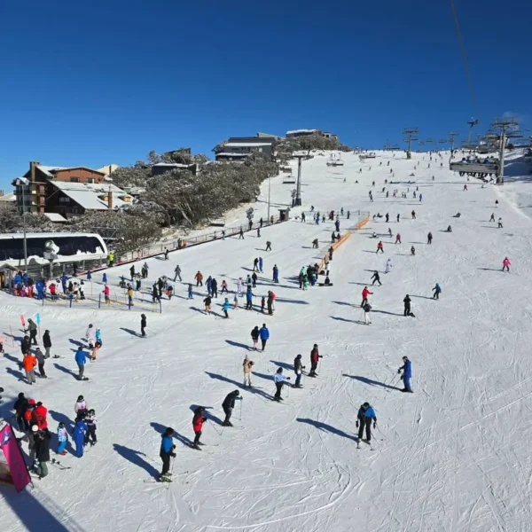 mount buller trips