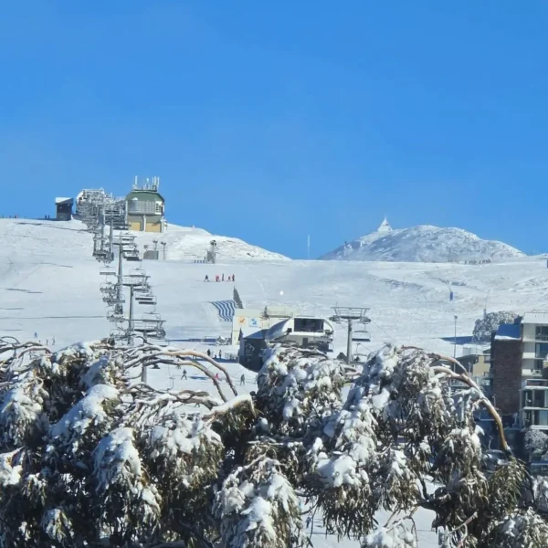 mt buller day tour