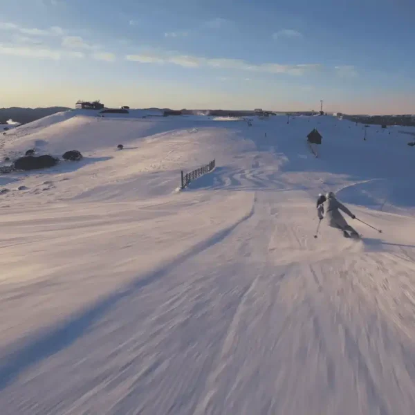 mt buller day tour