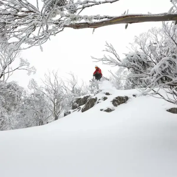 mt buller day trip from melbourne