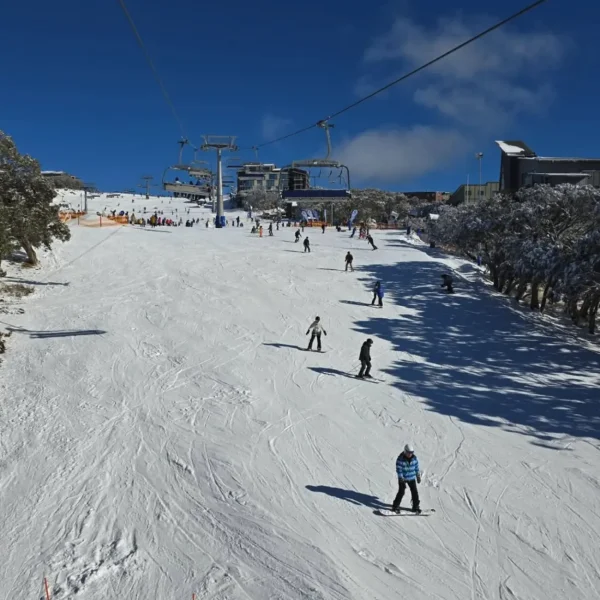 mt buller day trip package
