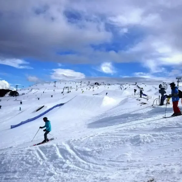 mt buller day trip