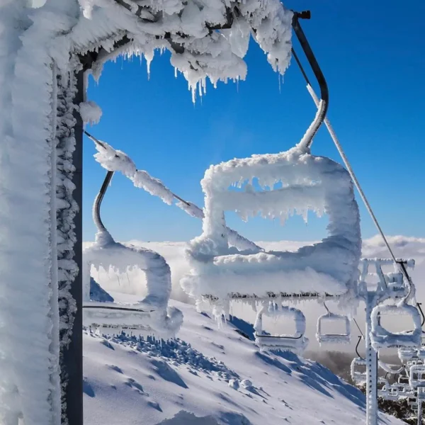 mt buller tour