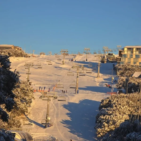 mt buller tours