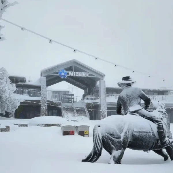mt buller trip from melbourne