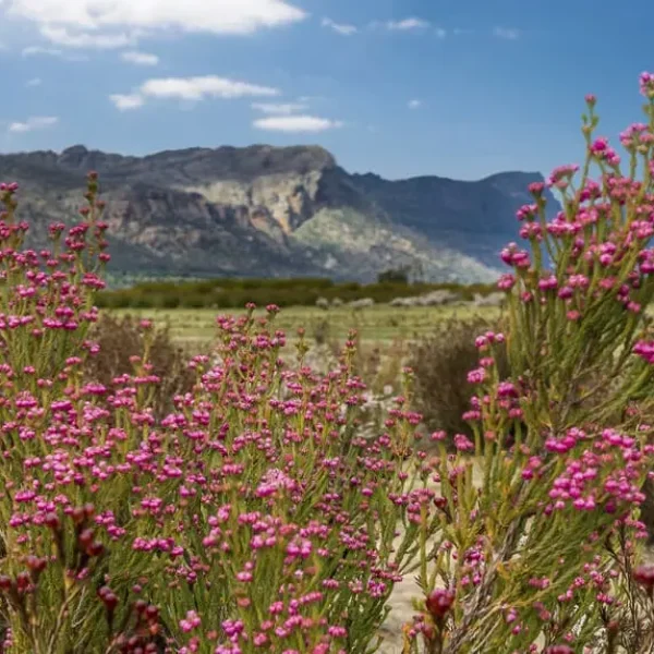 national parks grampians