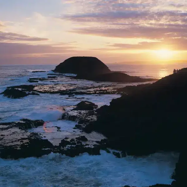 phillip island tour melbourne