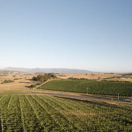 private wine tours yarra valley