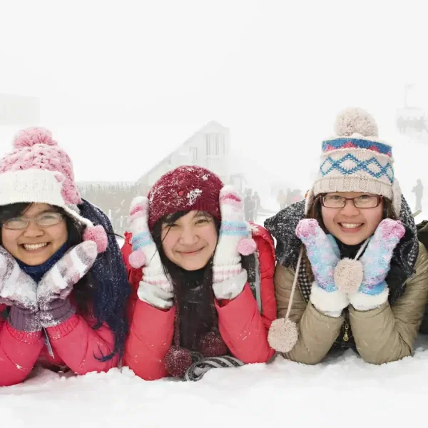 snow tours