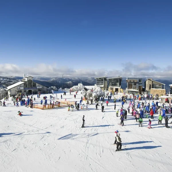 snowy mountain 1 day tour