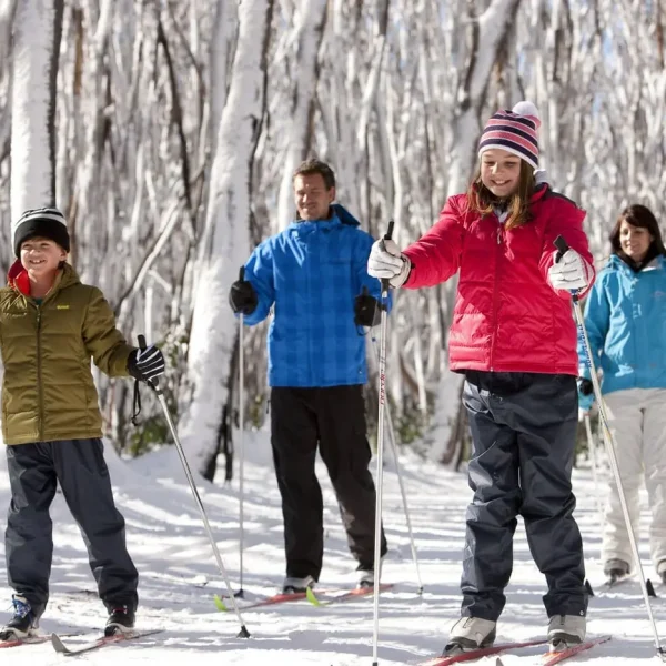 snowy mountains tours from sydney