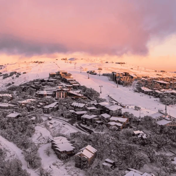 tour mount buller