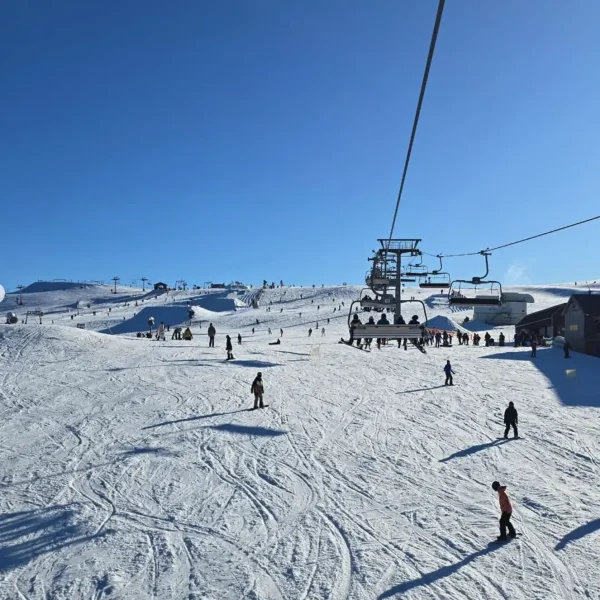 tour mount buller
