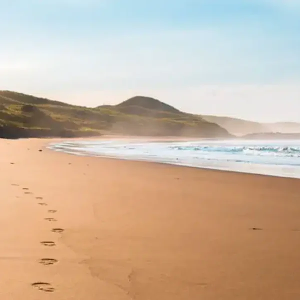 tour phillip island