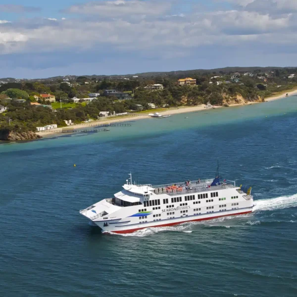 tour the great ocean road