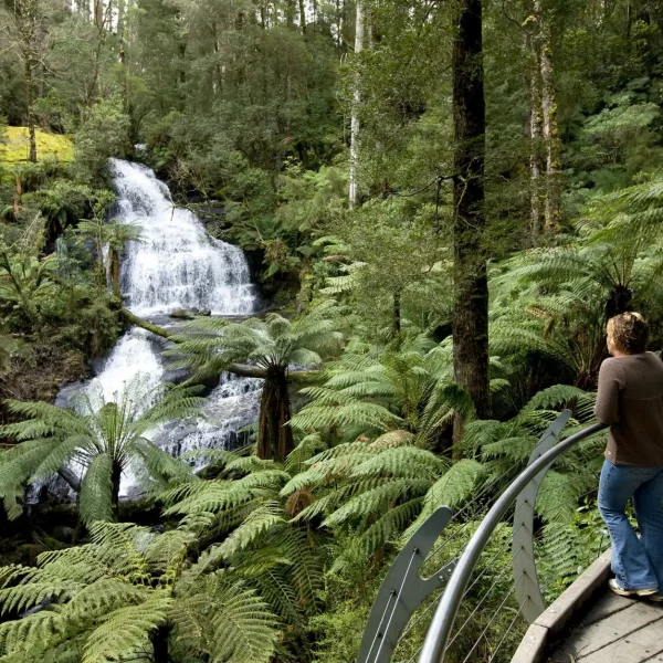 visionsofvictoria