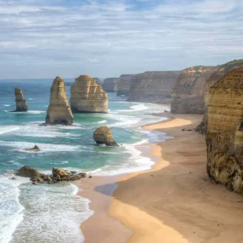 wildlife tours great ocean road