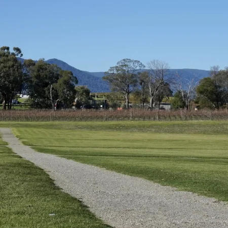 wine tours melbourne