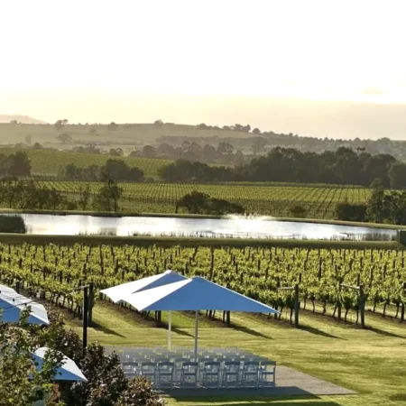 wine tours near me