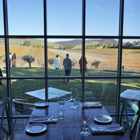 wine tours