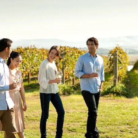 wine tours yarra valley