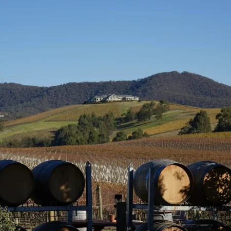 winery tour yarra valley