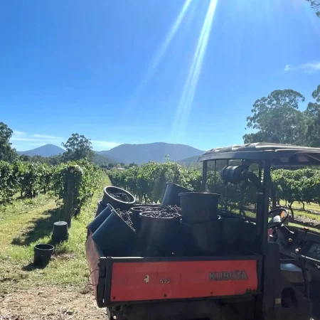 winery tours yarra valley