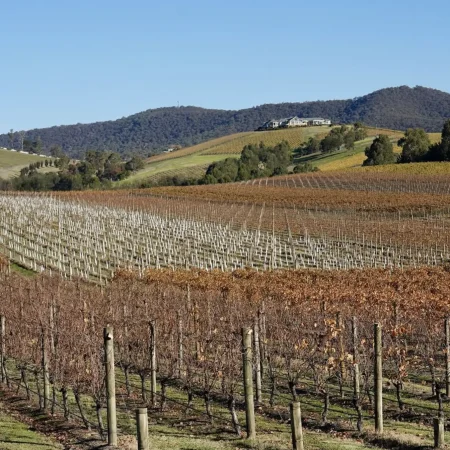 yarra valley day tour