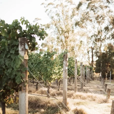 yarra valley tour