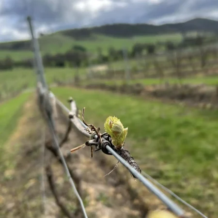 yarra valley tours from melbourne
