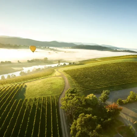 yarra valley wine tour