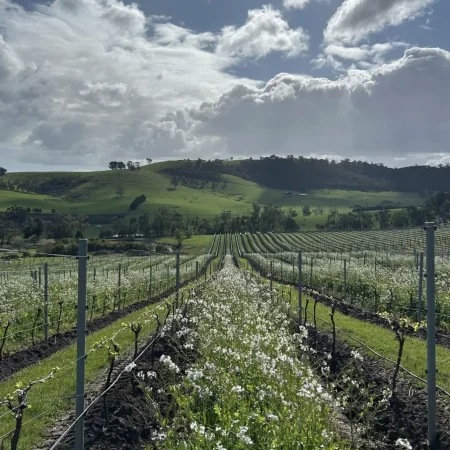 yarra valley winery tour