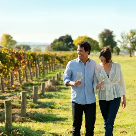 yarra valley winery tours from melbourne
